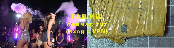 дживик Бородино