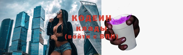 дживик Верея