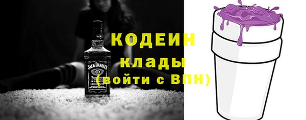 дживик Бородино