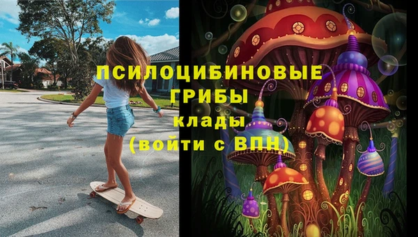 дживик Верея