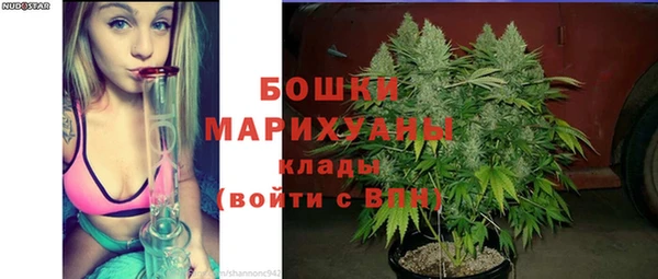 дживик Бородино